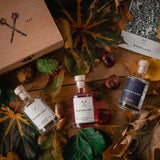 Woodland Gin Tasting Set Inspiration Draufsicht
